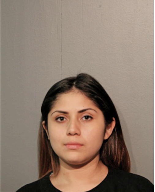 SELENA NUNEZ, Cook County, Illinois