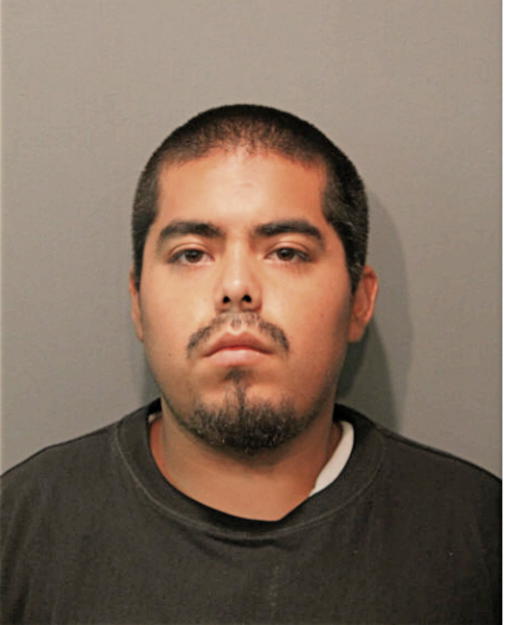 GUADALUPE SANCHEZ, Cook County, Illinois