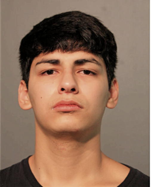 ADRIAN SEGURA, Cook County, Illinois