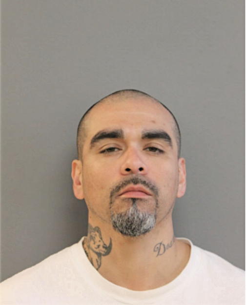 VICTOR D SOTO, Cook County, Illinois