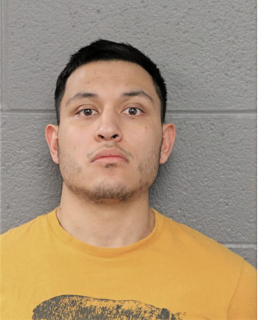 CARLOS RODRIGO TAMAYO-MARTINEZ, Cook County, Illinois