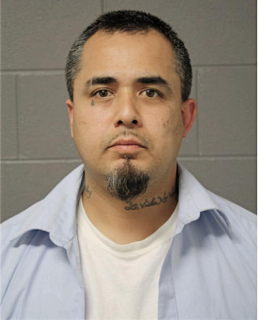 NICOLAS VERA, Cook County, Illinois