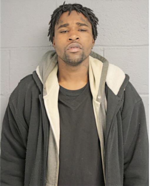 BRIAN D WHITE, Cook County, Illinois