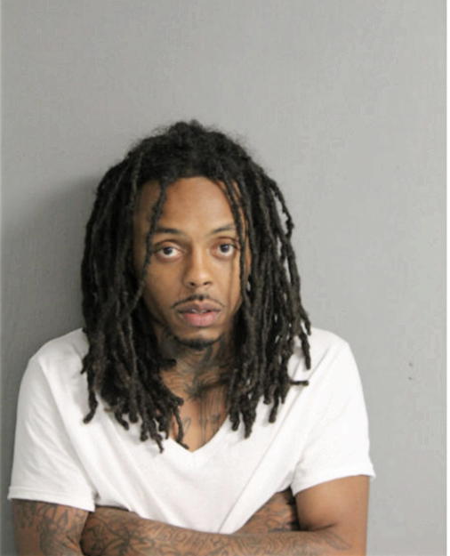 MICHAEL J WHITE, Cook County, Illinois