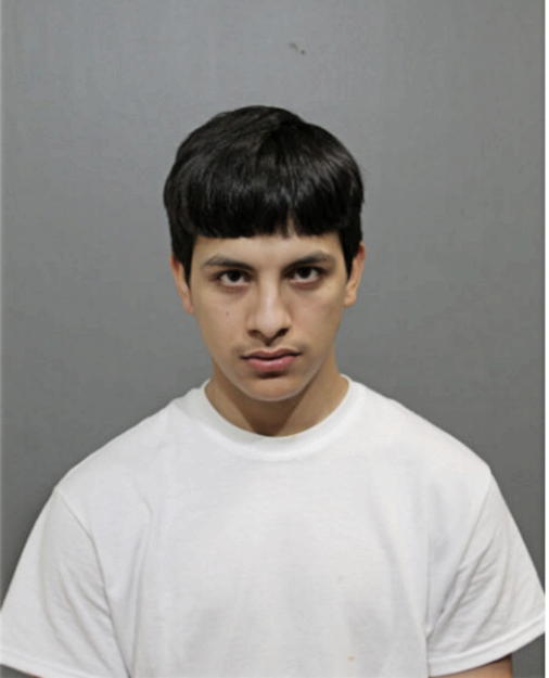 ANTONIO ALVARADO, Cook County, Illinois