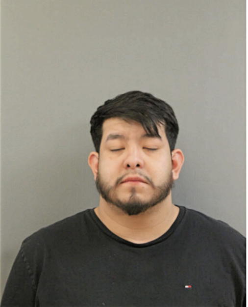 ALEXANDER M AMADOR, Cook County, Illinois
