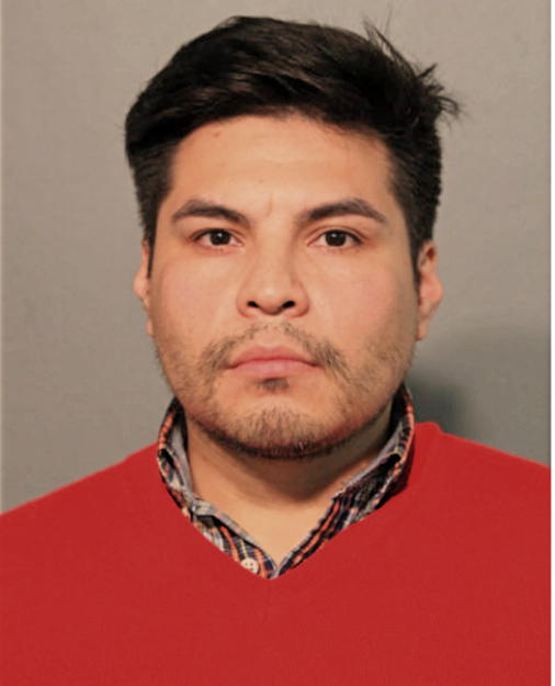 JORGE ANAYA, Cook County, Illinois