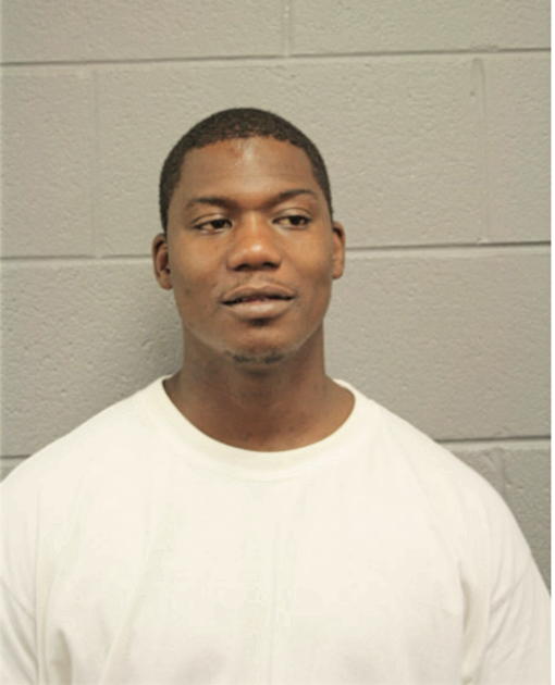 PAUL D ANDERSON, Cook County, Illinois