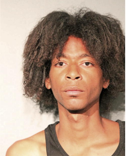 CHARLES E CHAMBERS, Cook County, Illinois