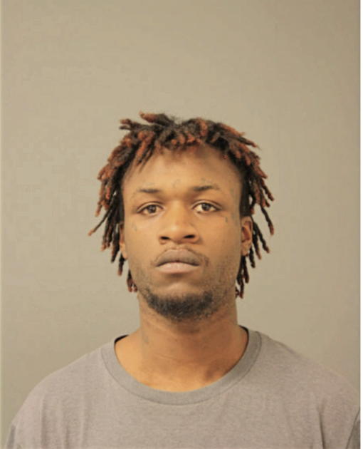 JAMAINE J DAVIS, Cook County, Illinois