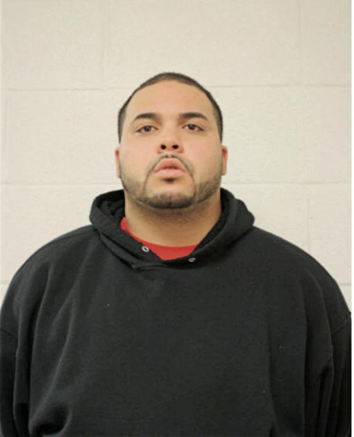LUIS M IRIZARRY, Cook County, Illinois