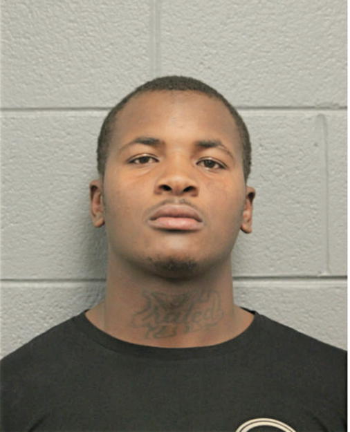 TERRENCE L JOHNSON, Cook County, Illinois