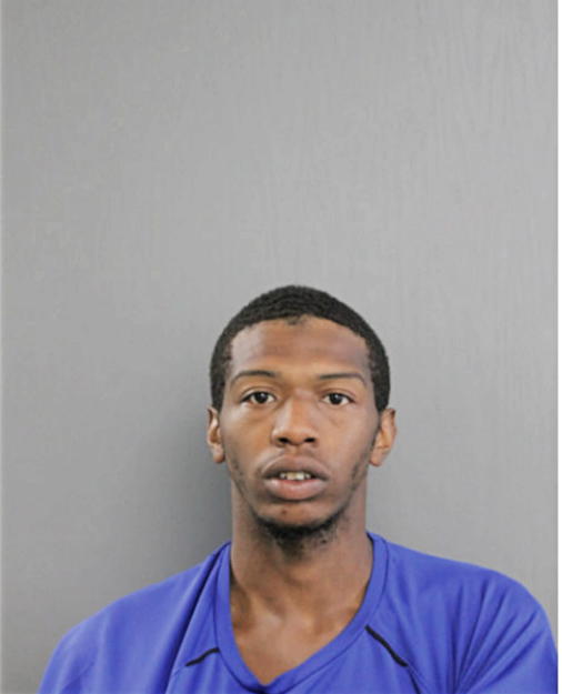 DANNY D MITCHELL, Cook County, Illinois