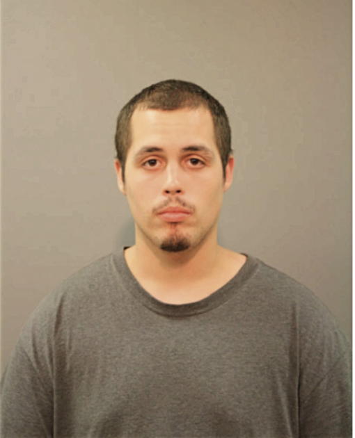 VICTOR L OLIVO, Cook County, Illinois