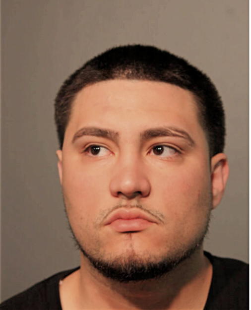FABIO V ORTIZ, Cook County, Illinois