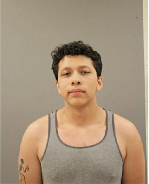 CARLOS A RAMIREZ, Cook County, Illinois
