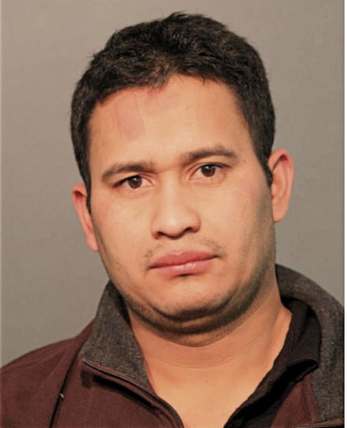 HUGO A RAMOS, Cook County, Illinois