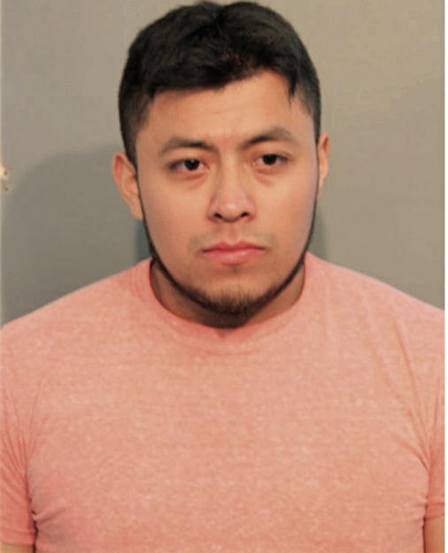 LUIS ROBLES, Cook County, Illinois