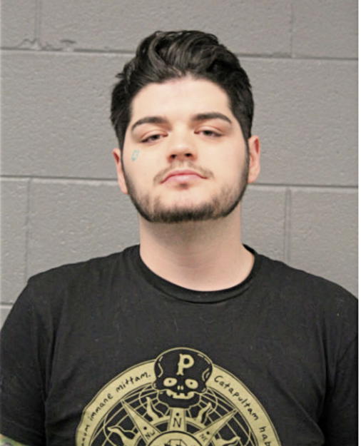 DOMINICK J RODRIGUEZ, Cook County, Illinois