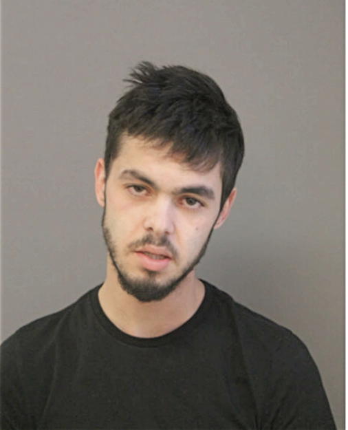 BADREDDINE SEDDIKI, Cook County, Illinois