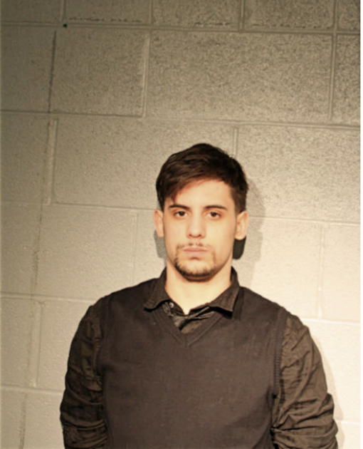 STEPHANOS S TREMULIS, Cook County, Illinois