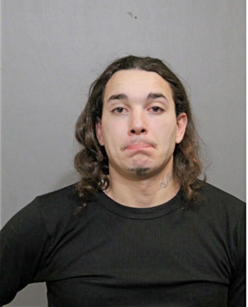 NELSON L VASQUEZ, Cook County, Illinois
