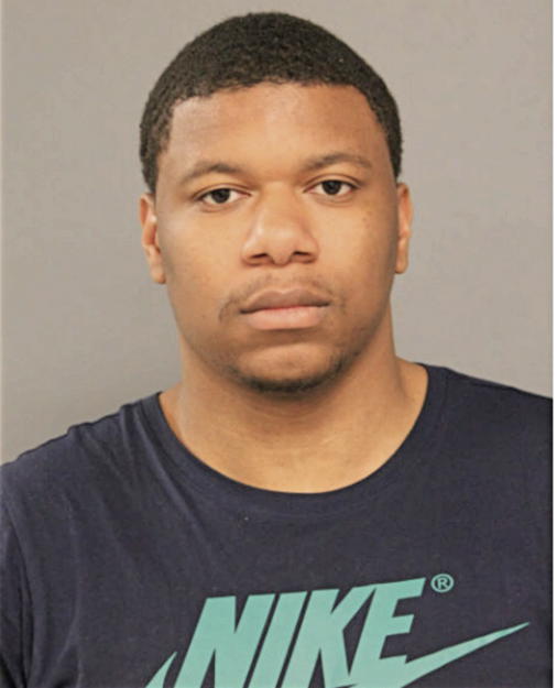 RICKEY T WEBSTER, Cook County, Illinois