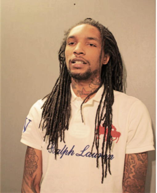 MICHAEL G WILLIAMS, Cook County, Illinois
