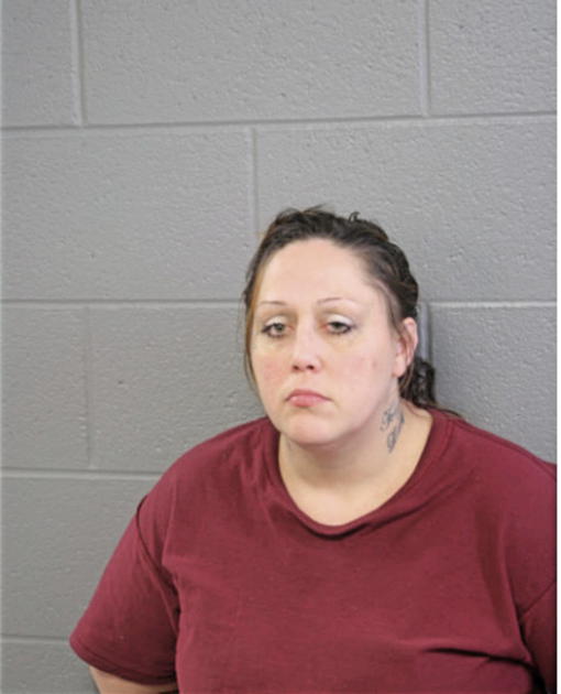 TRACY L ANDERSON, Cook County, Illinois