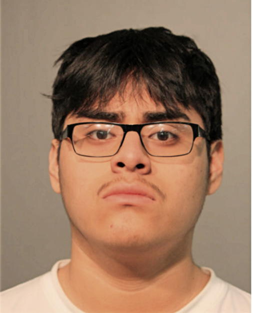 JUNIOR E ANGAMARCA, Cook County, Illinois
