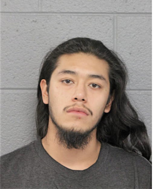 GUADALUPE J AVELAR-CARVAJAL, Cook County, Illinois