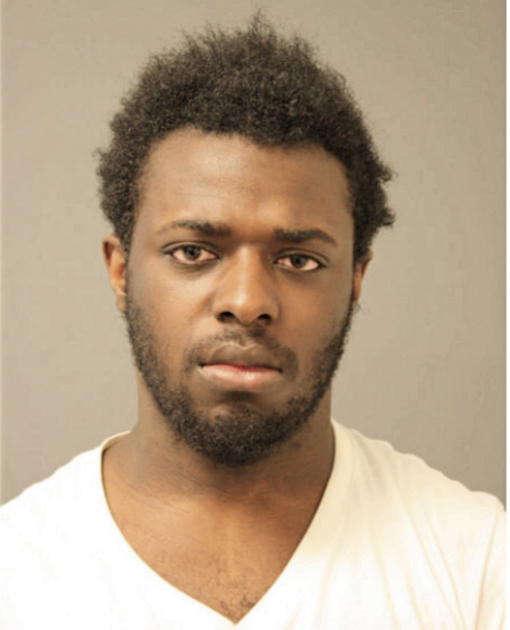 MICHAEL D BARNES, Cook County, Illinois