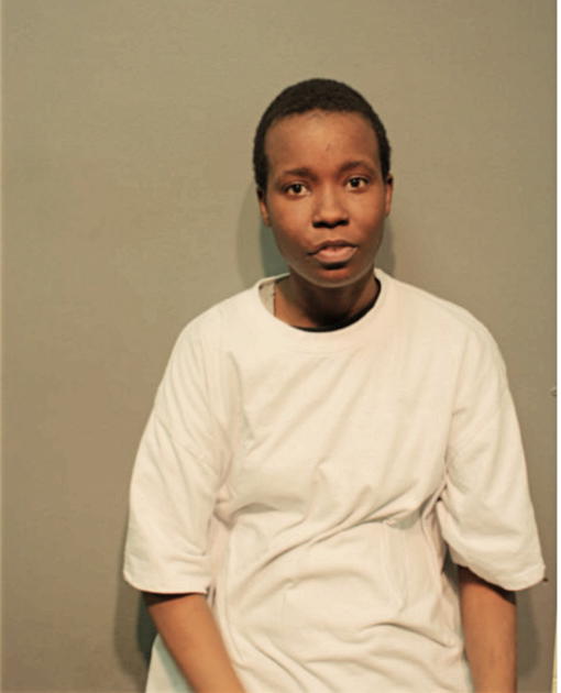 MEISHA M BROWNLEE, Cook County, Illinois
