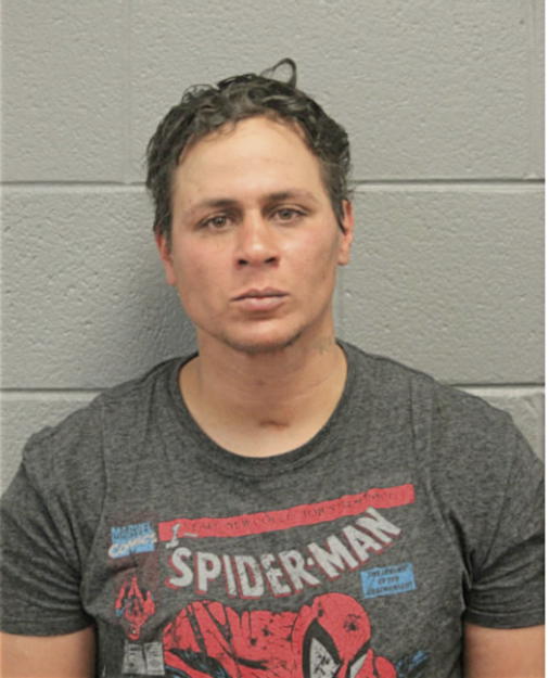 JAMES L BURTON, Cook County, Illinois