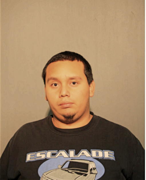 FERMIN FLORES, Cook County, Illinois