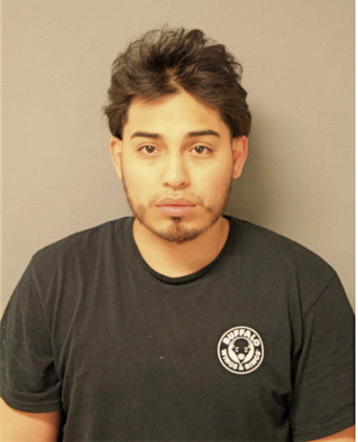 JULIO FLORES, Cook County, Illinois
