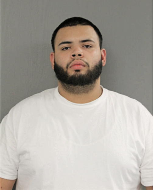 ALEXANDER GRULLON, Cook County, Illinois