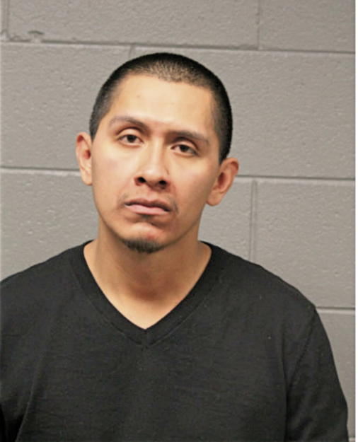 TONY GUZMAN, Cook County, Illinois