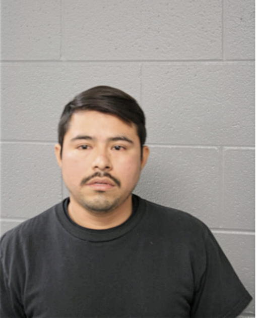 ENRIQUE GARCIA-DE LA CRUZ, Cook County, Illinois
