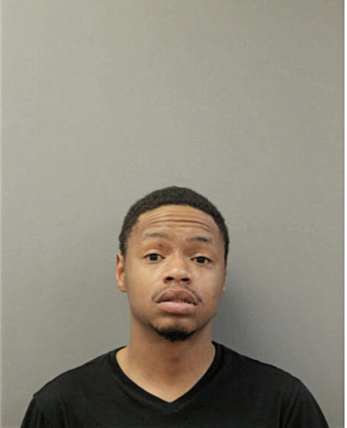 DOMINIC T LEWIS, Cook County, Illinois