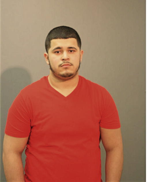 ERICK J MORALES, Cook County, Illinois