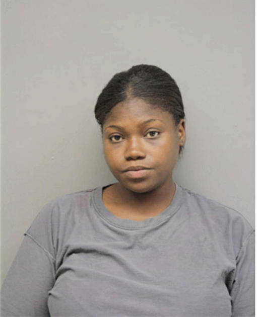 CHRISTINA I PALMER, Cook County, Illinois