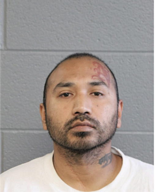 WILBERT REYES, Cook County, Illinois