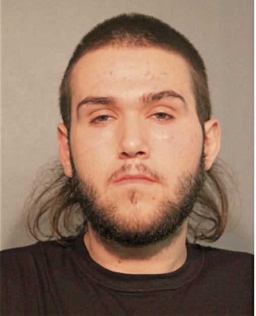 NICHOLAS B ROSS, Cook County, Illinois