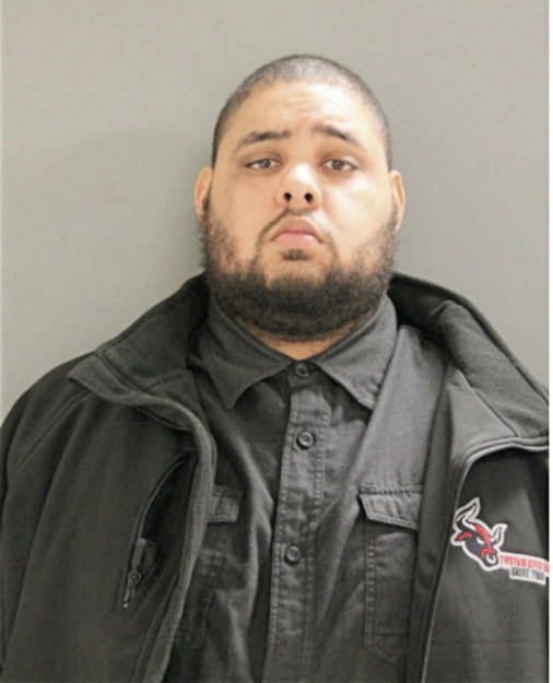 NICHOLAS S SKULARK, Cook County, Illinois