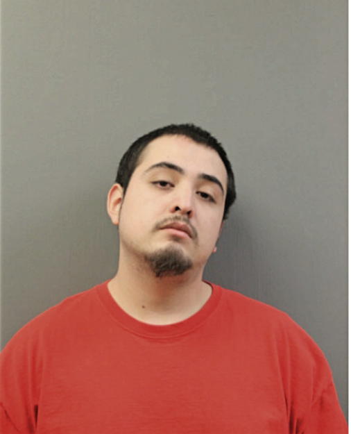 CEASAR A BARAJAS, Cook County, Illinois