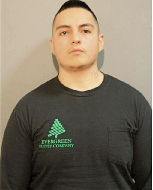LUIS G GONZALEZ, Cook County, Illinois