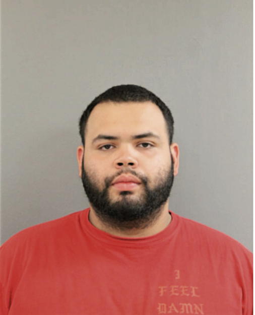 ALEXANDER GRULLON, Cook County, Illinois