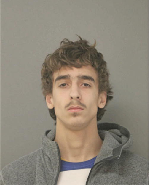 BRANDON K JOHNSTON, Cook County, Illinois