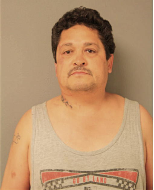 RICARDO P MAGDALENO, Cook County, Illinois